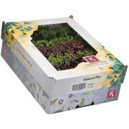 Distributeur alimentaire de SAKURA MIXED KOPPERTCRESS - cash-alimentaire.com