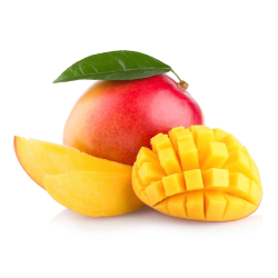 Achat en gros MANGUE KENT CASE - cash-alimentaire.com