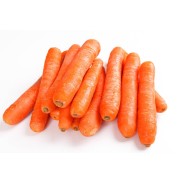 Fournisseur alimentaire de CAROTTE ITAL CAROTE - cash-alimentaire.com