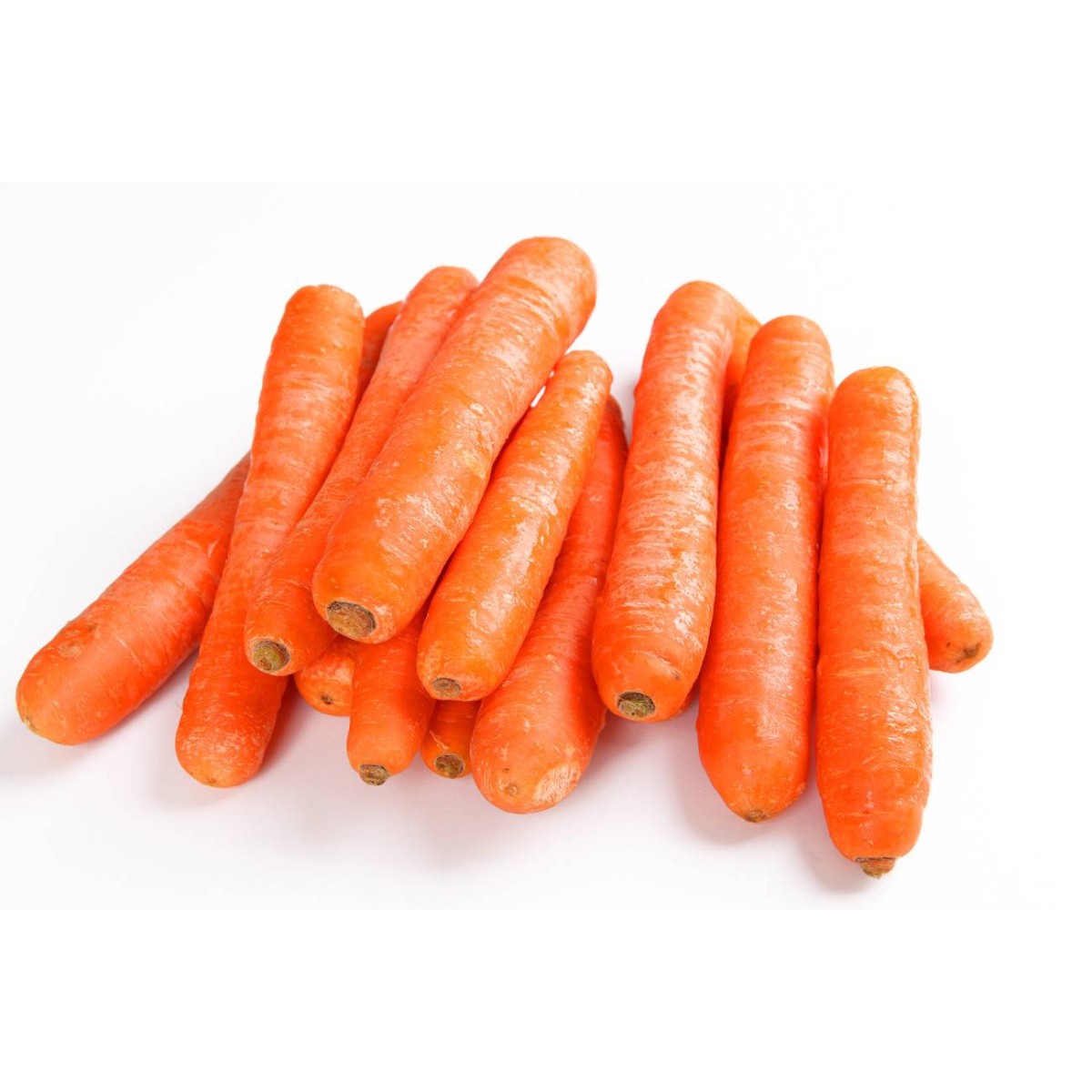 Fournisseur alimentaire de CAROTTE ITAL CAROTE - cash-alimentaire.com