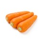 Fournisseur alimentaire de CAROTTE SAC CASE - cash-alimentaire.com