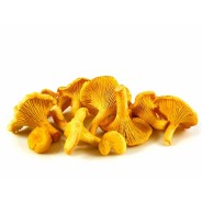 Destockage GIROLLE ENTIERE MOYENNE MAGDA - cash-alimentaire.com