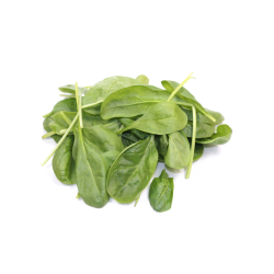 Destockage POUSSE EPINARD CARTON PRIMEURS ST JEANNET - cash-alimentaire.com