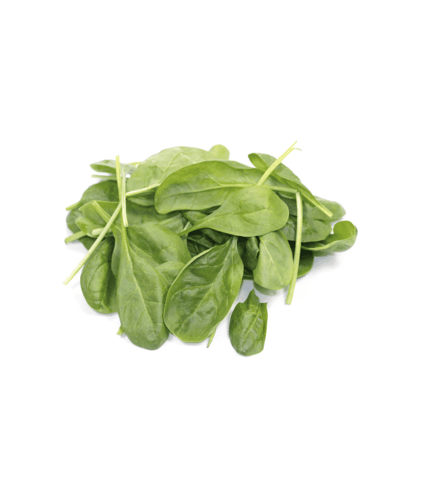 Destockage POUSSE EPINARD CARTON PRIMEURS ST JEANNET - cash-alimentaire.com