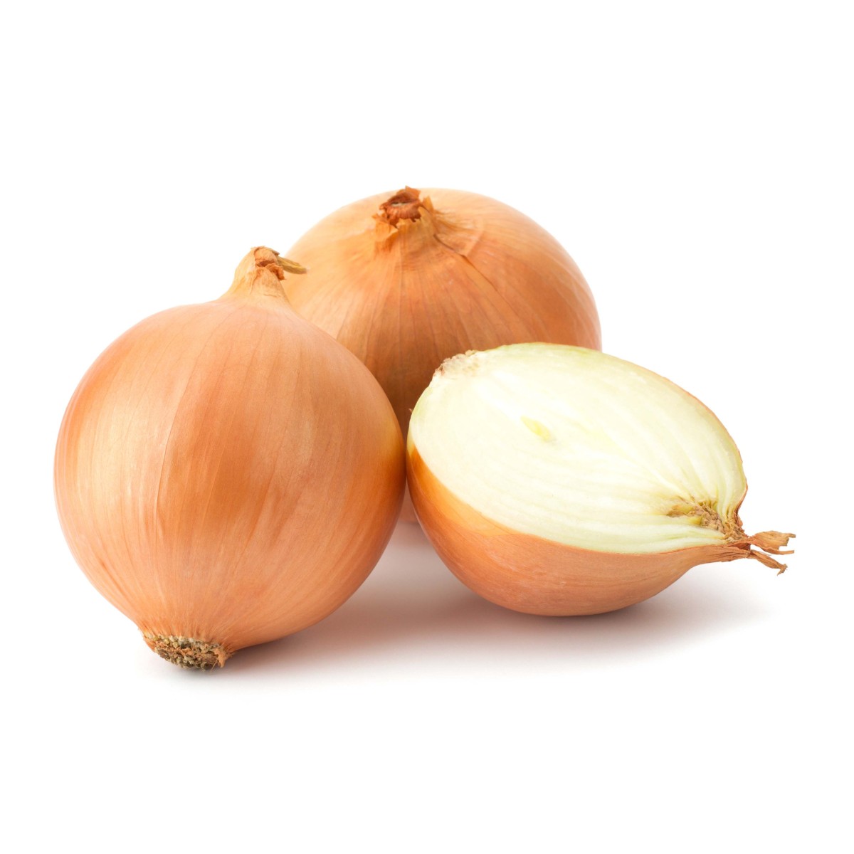 Fournisseur alimentaire de OIGNON PAILLE FILET JAVALA - cash-alimentaire.com
