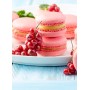 Destockage OSEILLE 3A BELORTA - cash-alimentaire.com