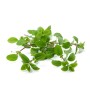 Destockage MARJOLAINE CASE - cash-alimentaire.com