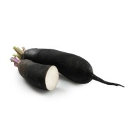 Vente en gros RADIS NOIR CASE - cash-alimentaire.com