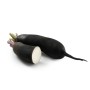 Vente en gros RADIS NOIR CASE - cash-alimentaire.com