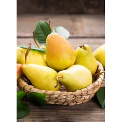 Destockage POIRE ABATTE TRES ASES - cash-alimentaire.com