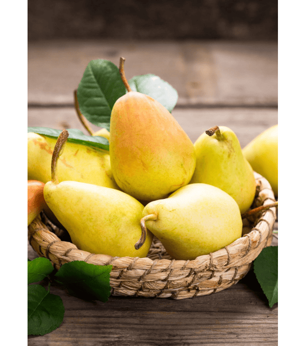 Destockage POIRE ABATTE TRES ASES - cash-alimentaire.com