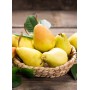 Destockage POIRE ABATTE TRES ASES - cash-alimentaire.com