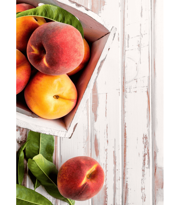 Destockage PECHE JAUNE CASE - cash-alimentaire.com