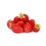 Distributeur alimentaire de FRAISE DE CARROS FERRARO - cash-alimentaire.com