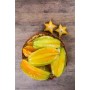 Destockage CARAMBOLE EMA'S - cash-alimentaire.com