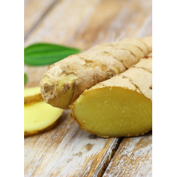 Destockage GINGEMBRE TROPILAND - cash-alimentaire.com