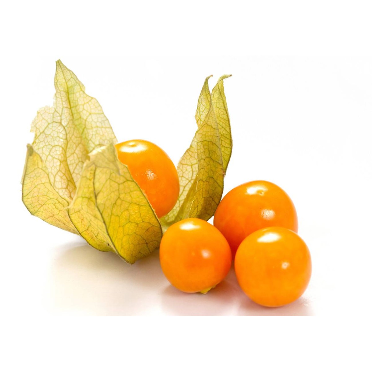 Destockage PHYSALIS LIGHT FRUITS - cash-alimentaire.com
