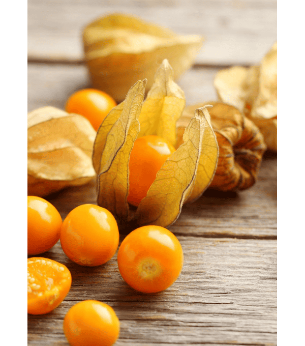 Destockage PHYSALIS LIGHT FRUITS - cash-alimentaire.com