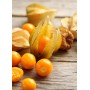Destockage PHYSALIS LIGHT FRUITS - cash-alimentaire.com