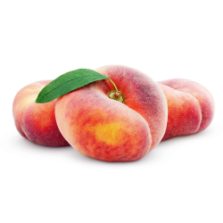 Achat en ligne de PECHE PLATE CASE - cash-alimentaire.com