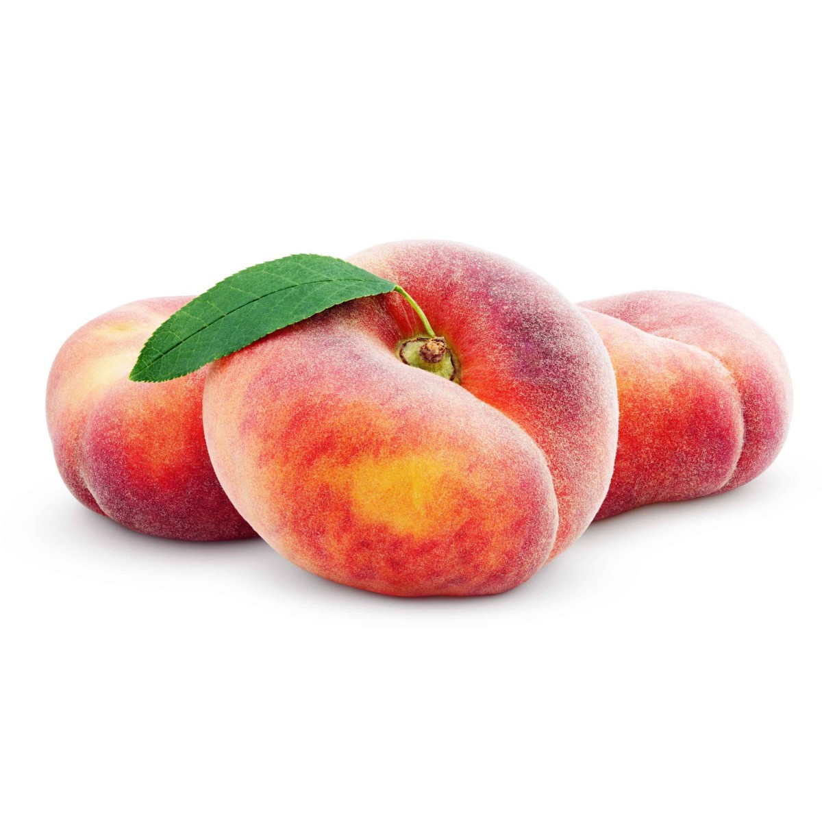 Achat en ligne de PECHE PLATE CASE - cash-alimentaire.com