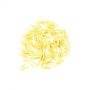 Achat en ligne de ROSMARINO DIVELLA - cash-alimentaire.com