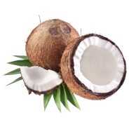 Distributeur alimentaire de NOIX DE COCO COTE D IVOIRE CASE - cash-alimentaire.com