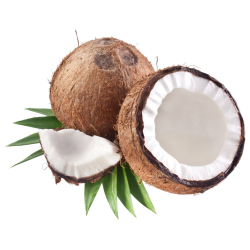 Distributeur alimentaire de NOIX DE COCO COTE D IVOIRE CASE - cash-alimentaire.com