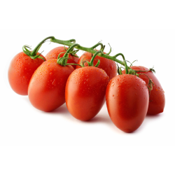 Distributeur alimentaire de TOMATE DATTERINO GRAPPE ARCIMBOLDO - cash-alimentaire.com