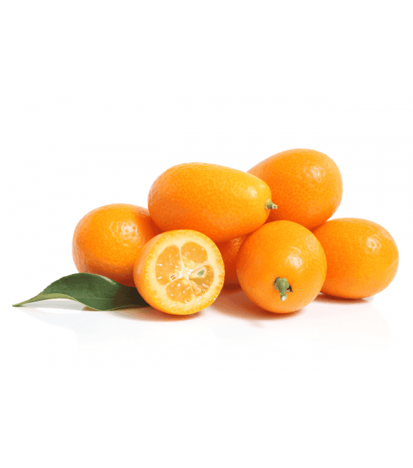 Achat en gros KUMQUAT SAFTA - cash-alimentaire.com