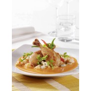 FOND BLANC DE VOLAILLE CHEF au prix de gros - cash-alimentaire.com