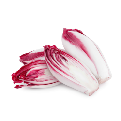 Achat en gros ENDIVE CARMINE CASE - cash-alimentaire.com