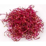Vente en gros GERME DE BETTERAVE ROUGE CASE - cash-alimentaire.com