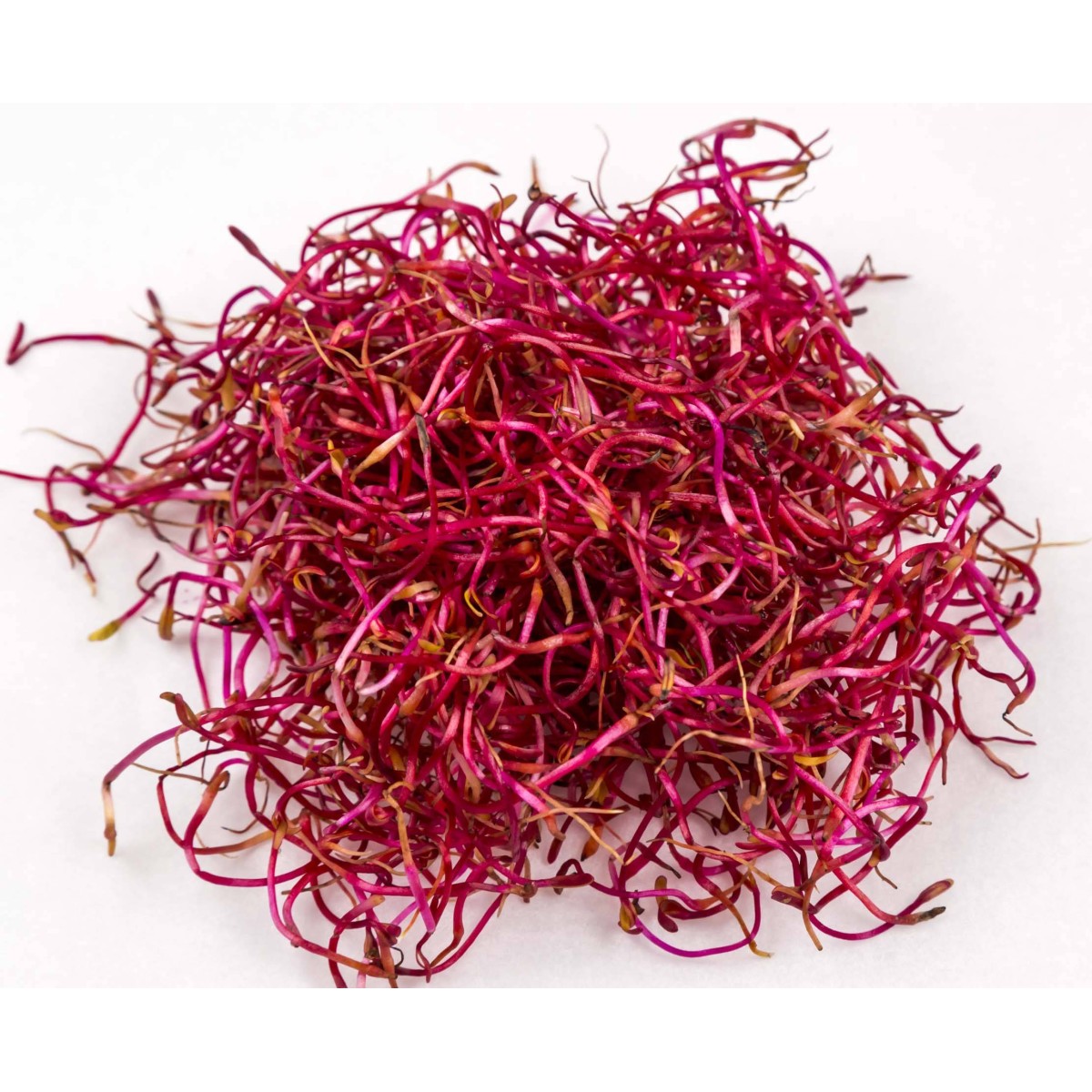 Vente en gros GERME DE BETTERAVE ROUGE CASE - cash-alimentaire.com