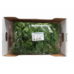Destockage POUSSE EPINARD CARTON PRIMEURS ST JEANNET - cash-alimentaire.com