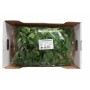Destockage POUSSE EPINARD CARTON PRIMEURS ST JEANNET - cash-alimentaire.com