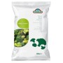 BROCOLIS GREENS - prix grossiste - cash-alimentaire.com