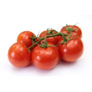 TOMATE RONDE APPECAL TOMABEL produits de gros - cash-alimentaire.com
