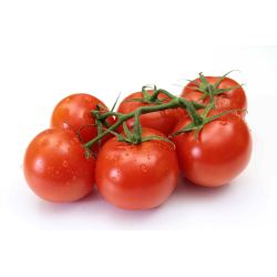 TOMATE RONDE APPECAL TOMABEL produits de gros - cash-alimentaire.com