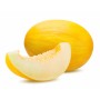 Destockage MELON JAUNE BOLLO - cash-alimentaire.com