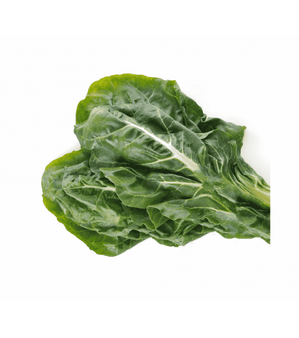 Destockage BLETTE SANS COTES PAYS NICOIS - cash-alimentaire.com