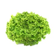 Destockage BATAVIA FRAICHEUR CHAMP - cash-alimentaire.com
