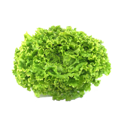 Destockage BATAVIA FRAICHEUR CHAMP - cash-alimentaire.com