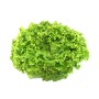 Destockage BATAVIA FRAICHEUR CHAMP - cash-alimentaire.com