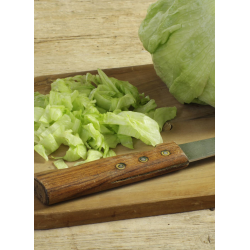 Destockage ICEBERG GREGAL - cash-alimentaire.com