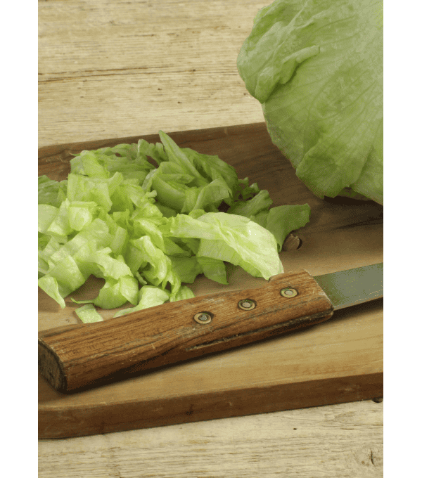 Destockage ICEBERG GREGAL - cash-alimentaire.com
