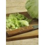 Destockage ICEBERG GREGAL - cash-alimentaire.com