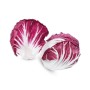 Destockage TREVISE MORANDO - cash-alimentaire.com