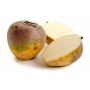Fournisseur alimentaire de RUTABAGA LA LEGUMIERE - cash-alimentaire.com