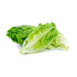 Destockage COEUR DE ROMAINE GENERICA - cash-alimentaire.com